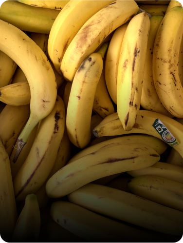 A pile of bananas with a black gradient transparent overlay.