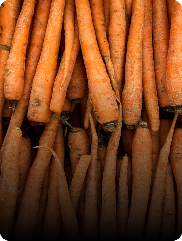 A pile of carrots with a black gradient transparent overlay.
