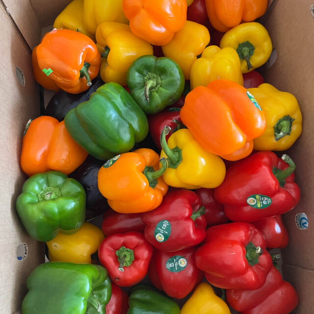 A box full of colorful peppers donated to Boston area food recovery charity Lovin Spoonfuls.