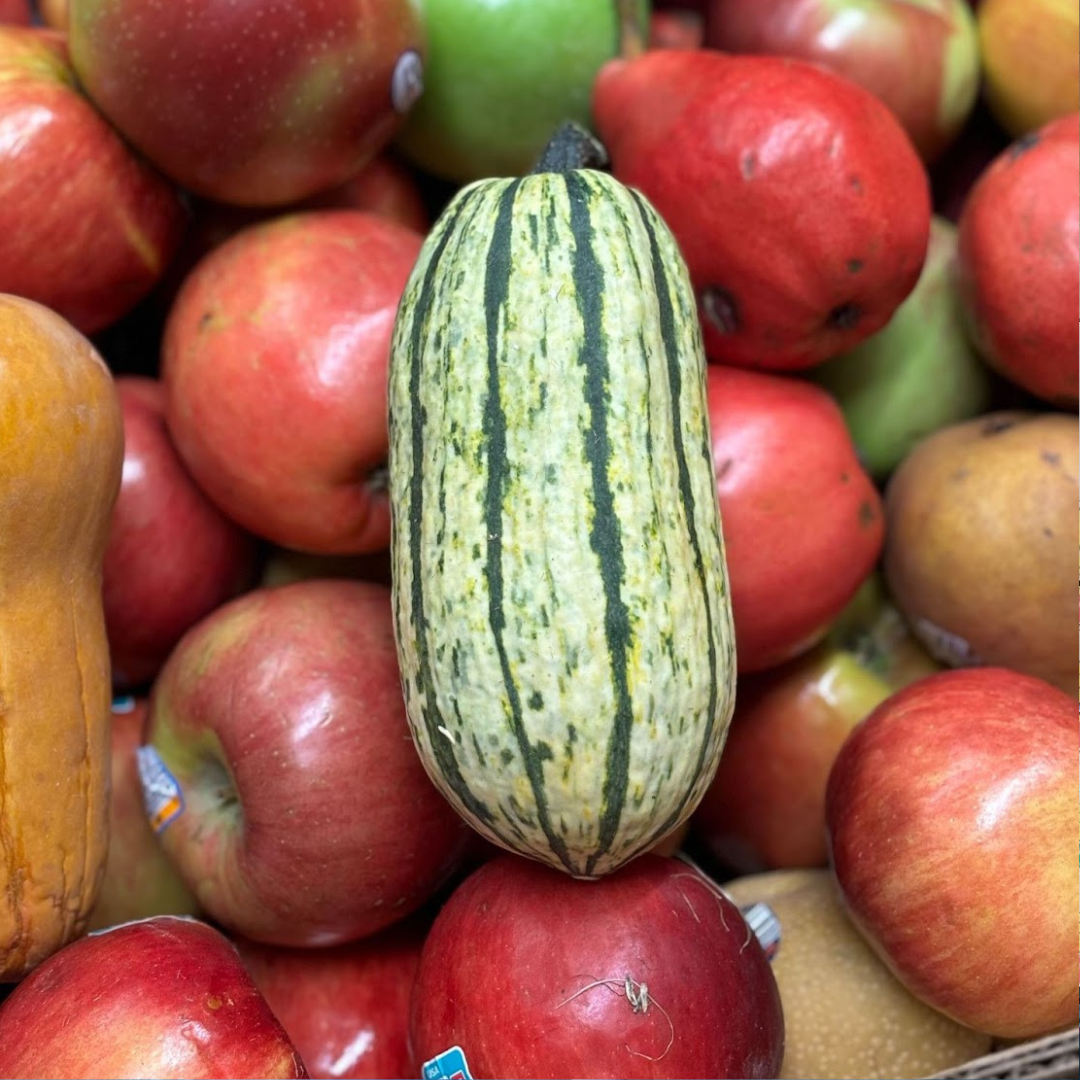 A striped squash is placed on top of a pile of red and green apples.