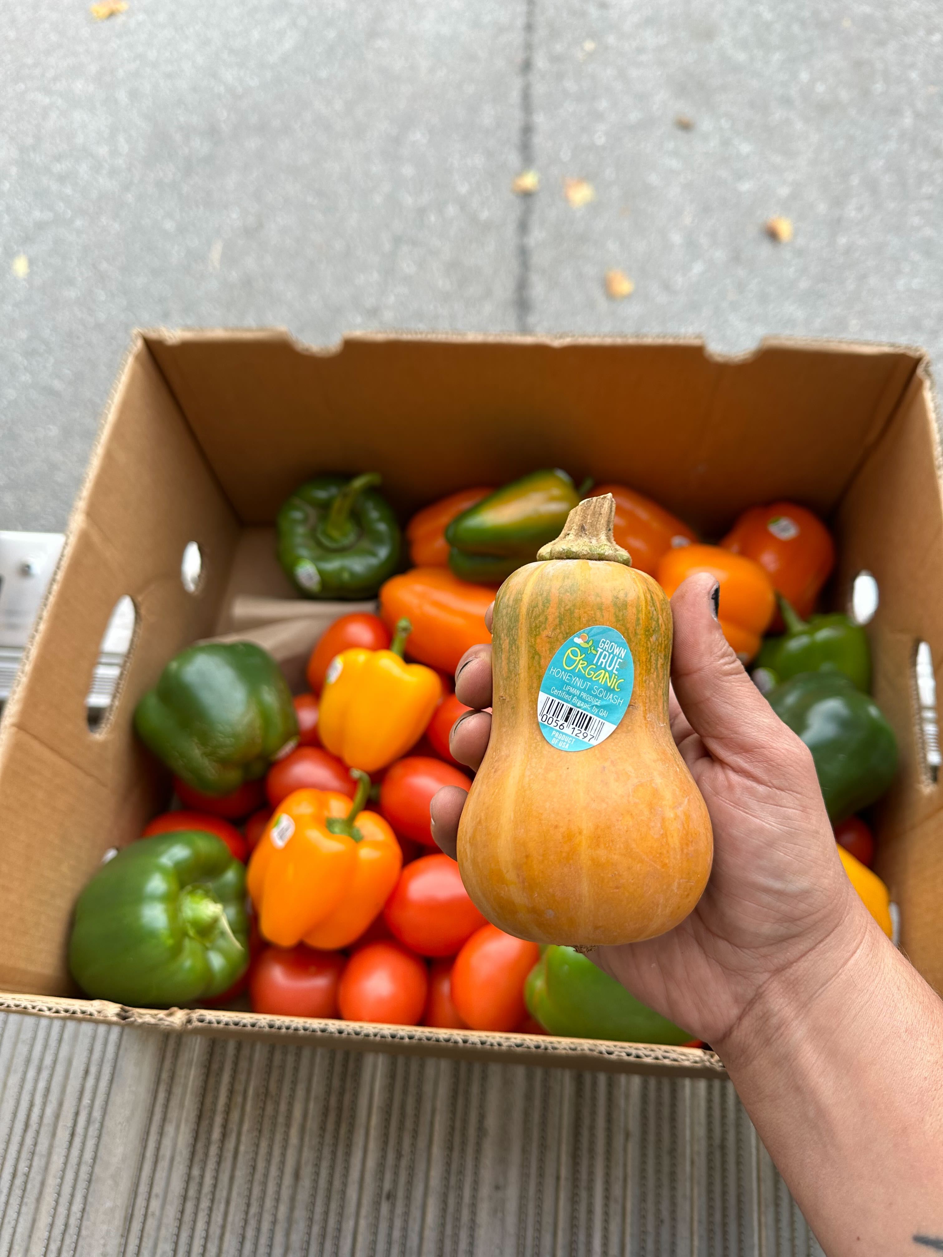 A hand holds a small butternut squash above a box filled with green peppers, orange peppers, and tomatoes.