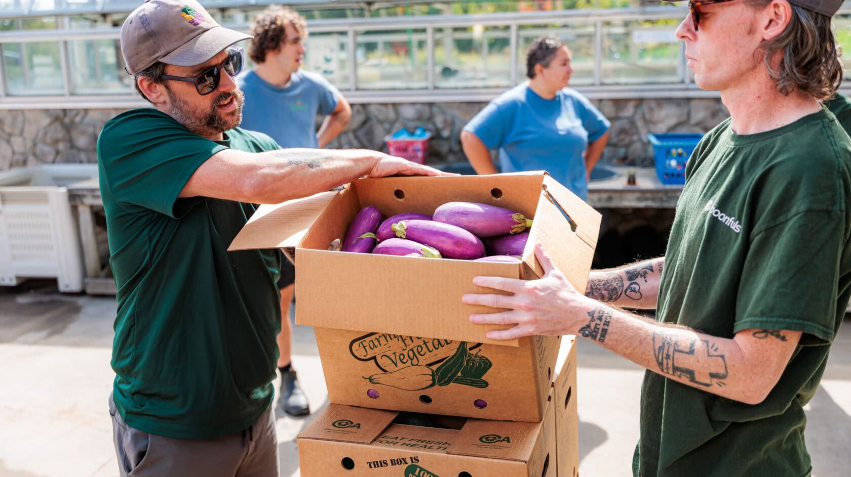 Two people hold a cardboard box filled with eggplants outdoors, while others work in the background near a greenhouse.